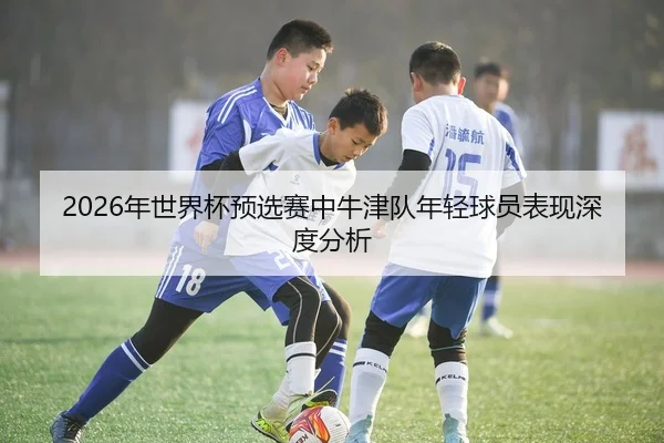 2026年世界杯预选赛中牛津队年轻球员表现深度分析