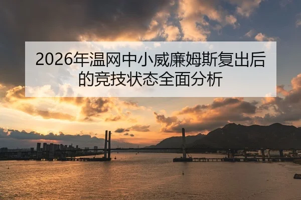 2026年温网中小威廉姆斯复出后的竞技状态全面分析