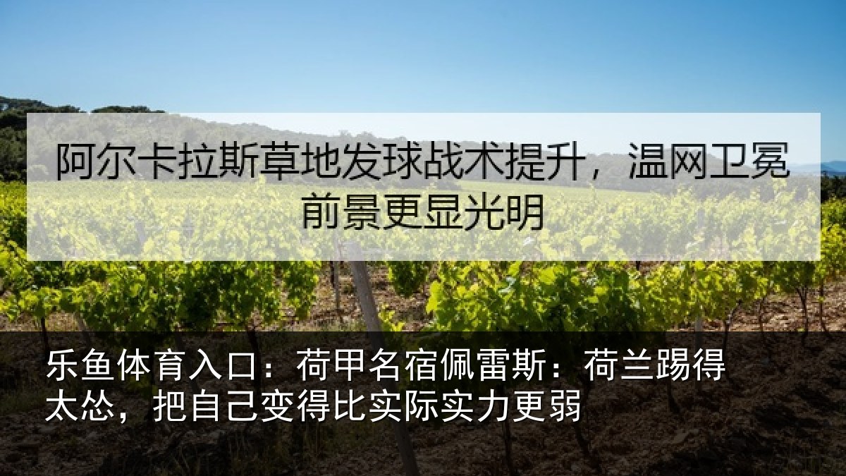 乐鱼体育入口:荷甲相关情况得太相关情况际实力更弱