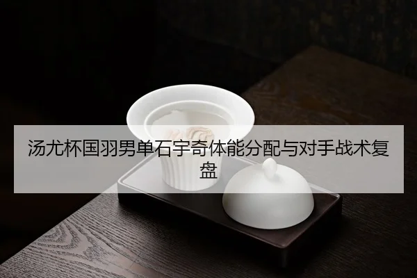 tang-you-bei-guo-yu-nan-dan-shi-yu-qi-ti-neng-fen-pei-yu-dui-shou-zhan-shu-fu-pan-3-220.jpg