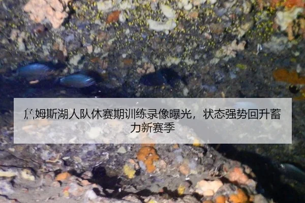 zhan-mu-si-hu-ren-dui-xiu-sai-qi-xun-lian-lu-xiang-bao-guang-zhuang-tai-qiang-shi-hui-sheng-xu-li-xin-sai-ji-3-228.jpg