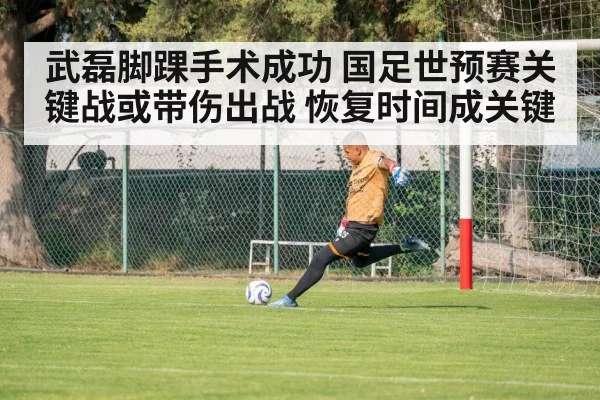 武磊脚踝手术成功 国足世预赛关键战或带伤出战 恢复时间成关键