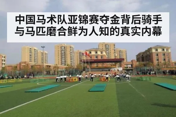 中国马术队亚锦赛夺金背后骑手与马匹磨合鲜为人知的真实内幕