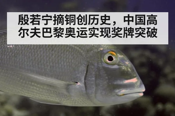 殷若宁摘铜创历史，中国高尔夫巴黎奥运实现奖牌突破