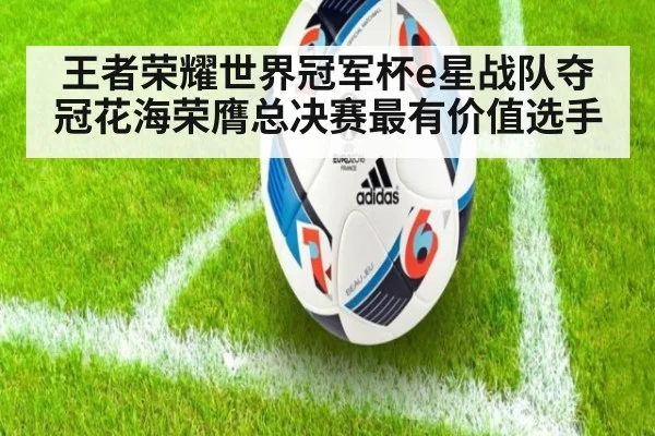 王者荣耀世界冠军杯e星战队夺冠花海荣膺总决赛最有价值选手